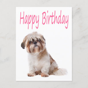 Happy Birthday Shih Tzu Puppy Postcard Postkarte
