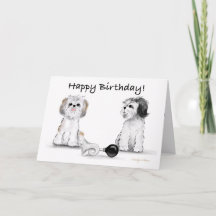 Happy Birthday Shitzu’s