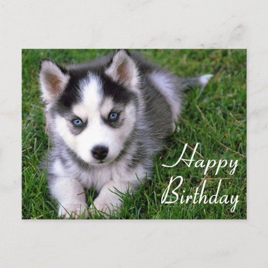 Happy Birthday Siberian Husky Welpe Dog Post Card Postkarte (Vorderseite)