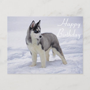 Happy Birthday Siberian Husky Welpe Dog Post Card Postkarte