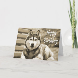 Happy Birthday Siberischer Husky Welpenhund Karte