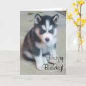 Happy Birthday Sibirische Husky Grußkarte Karte (Gelbe Blume)