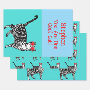 Happy Birthday Sie Cool Tabby Cat Mens Husband Geschenkpapier Set