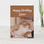 Happy Birthday Sister Celebrate es auf jede Weise  Karte<br><div class="desc">Herzlichen Glückwunsch zum Geburtstag Sister Celebrate es auf jede Art und Weise,  wie Sie mit einer niedlich entspannenden Katze Funny Tier Geburtstag Gruß,  um sich anzupassen</div>