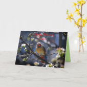 Happy Birthday Sister Female Kardinal Karte (Gelbe Blume)