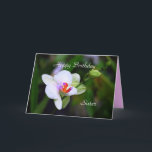 Happy Birthday Sister Phalaenopsis Orchid Card Karte<br><div class="desc">Die Familie Orchid ist eine morphologisch vielfältige und weit verbreitete Familie von Monocots in der Reihenfolge Asparagales, nach Wikipedia. Die Pflanze ist die größte Blütenfamilie , mit 21.950 bis 26.049 derzeit anerkannten Arten, die in 880 Gattungen vorkommen. Die Anzahl der Orchideen ist mehr als doppelt so hoch wie die Zahl...</div>