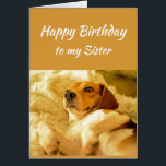 Happy Birthday Sister Real Age Spaß Fun Dog<br><div class="desc">Herzlichen Glückwunsch zum Geburtstag Schwester Freund Funny Animals.  Erinnern Sie sich,  ich kenne Ihr echtes Alter mit niedlich geschockt aussehendem Hund</div>