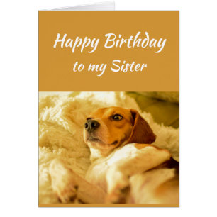 Happy Birthday Sister Real Age Spaß Fun Dog
