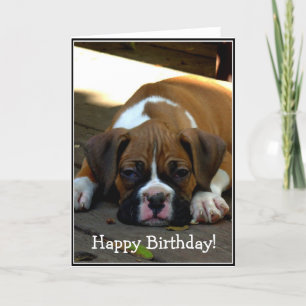 Happy Birthday Sleepy Boxer Welpengrüßkarte Karte
