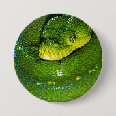 Happy Birthday Snake Button (Vorderseite)