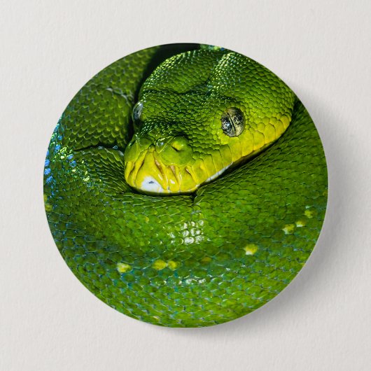 Happy Birthday Snake Button (Vorderseite)