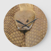 Happy Birthday Snake Clock Große Wanduhr (Vorderseite)