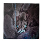 Happy Birthday Snake Fliese (Vorderseite)