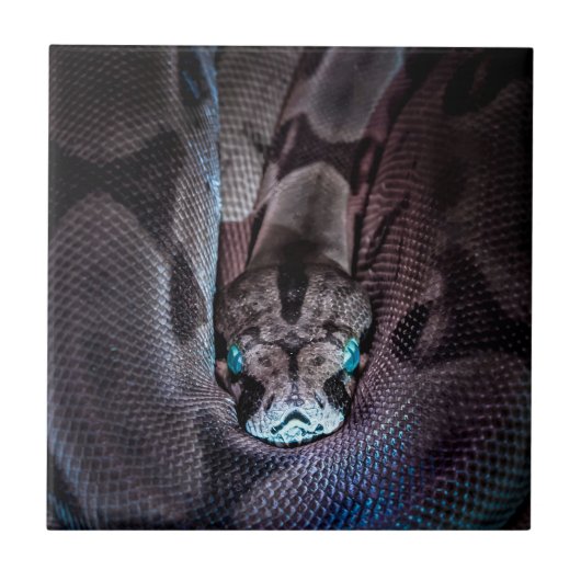 Happy Birthday Snake Fliese (Vorderseite)