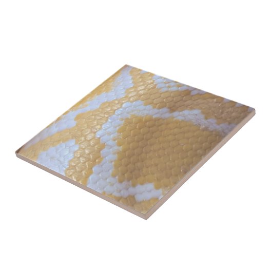 Happy Birthday Snake Fliese (Seite)