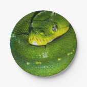 Happy Birthday Snake Party Teller (Vorderseite)