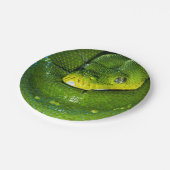 Happy Birthday Snake Party Teller (Schrägansicht)