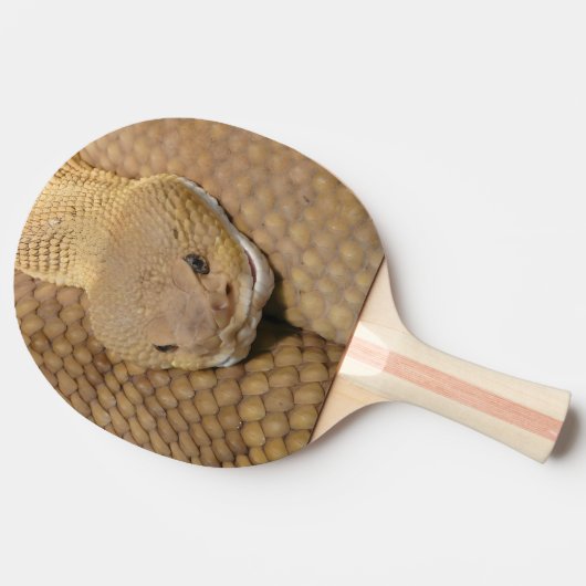 Happy Birthday Snake Ping Pong Paddle Tischtennis Schläger (Seitenansicht)