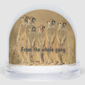 Happy Birthday Snow Globe Schneekugeln (Rückseite)