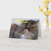 Happy Birthday Spaß Calico Persian Kitty Card Karte (Gelbe Blume)