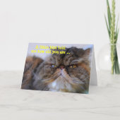Happy Birthday Spaß Calico Persian Kitty Card Karte (Vorderseite)