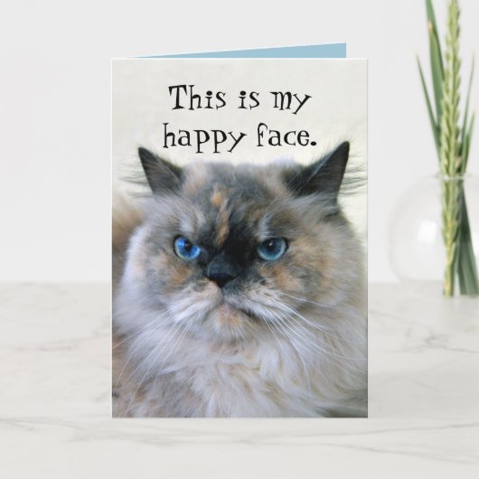 Happy Birthday Spaß Himalayan Persian Cat Karte (Vorderseite)