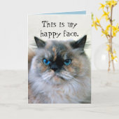 Happy Birthday Spaß Himalayan Persian Cat Karte (Gelbe Blume)