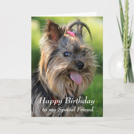 Happy Birthday Special Friend Fun Yorkie Dog Karte (Vorderseite)