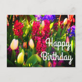 Happy Birthday Spring Flowers #5 Postcard Postkarte (Vorderseite)