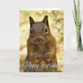 Happy Birthday Squirrel Looking for Cake Karte (Vorderseite)