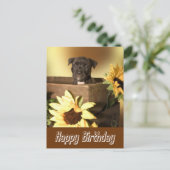 Happy Birthday Staffordshire Terrier Dog Post Card Postkarte (Stehend Vorderseite)