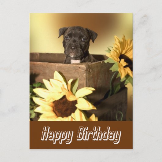 Happy Birthday Staffordshire Terrier Dog Post Card Postkarte (Vorderseite)