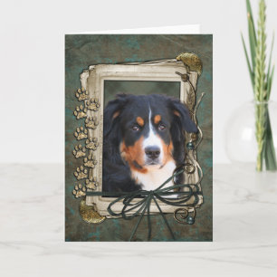 Happy Birthday - Stone Paws - Bernese Mountain Dog Karte
