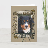 Happy Birthday - Stone Paws - Bernese Mountain Dog