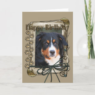 Happy Birthday - Stone Paws - Bernese Mountain Dog Karte