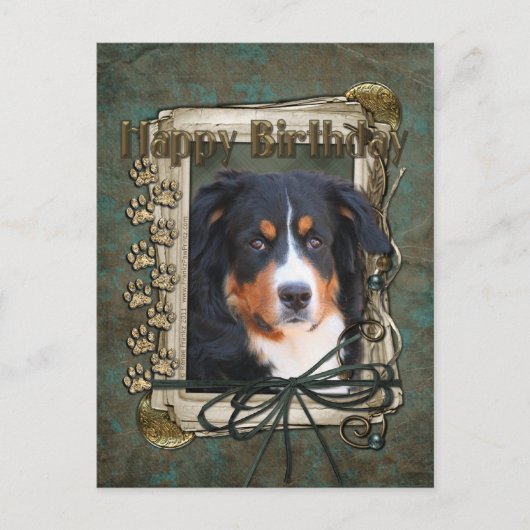 Happy Birthday - Stone Paws - Bernese Mountain Dog Postkarte (Vorderseite)