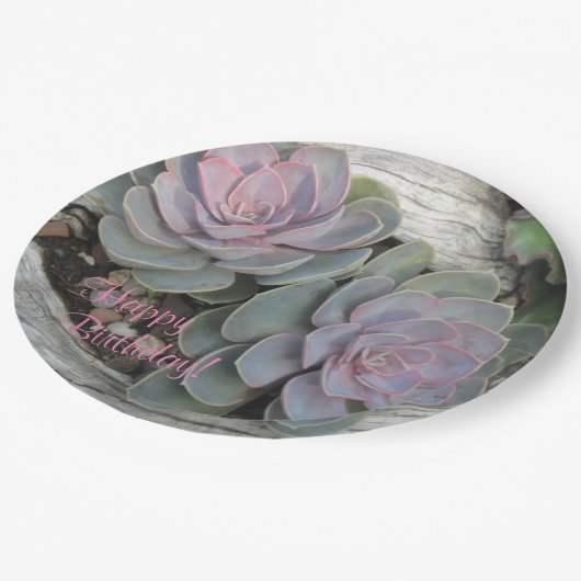 Happy Birthday Sukkulent Pappteller (Schrägansicht)