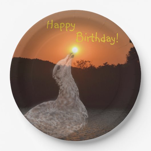Happy Birthday Sunset Pappteller (Vorderseite)