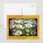Happy Birthday Sunshine Postkarte (Vorne/Hinten)