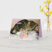 Happy Birthday - Tabby Kitten Geburtstagkarte Karte (Gelbe Blume)