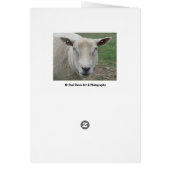 Happy Birthday to Ewe Card (Hinten)