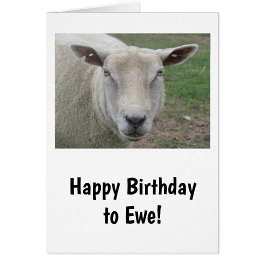 Happy Birthday to Ewe Card (Vorne)