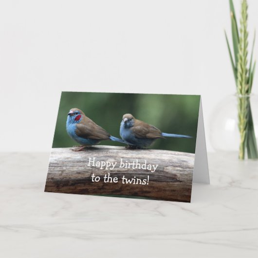 Happy birthday to the twins! karte (Vorderseite)