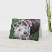 Happy Birthday Top Hund unseres Packs Niedliche We Karte (Vorderseite)