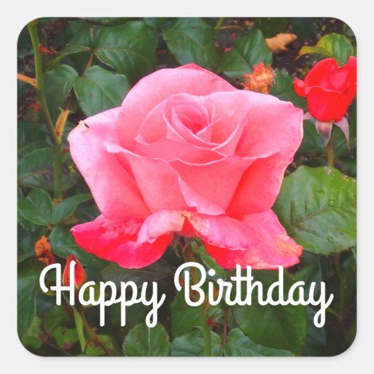 Happy Birthday Touch der Class Rose #1 Stickers (Vorderseite)