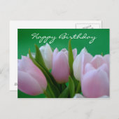 Happy Birthday - Tulips Postcard Postkarte (Vorne/Hinten)