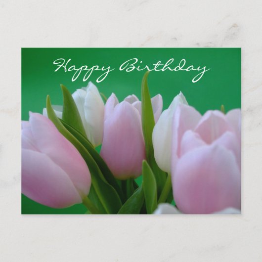 Happy Birthday - Tulips Postcard Postkarte (Vorderseite)