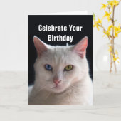 Happy Birthday Turkish Angora Cat Karte (Gelbe Blume)