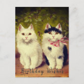 Happy Birthday Two Cats Oil Painting| Postkarte (Vorderseite)