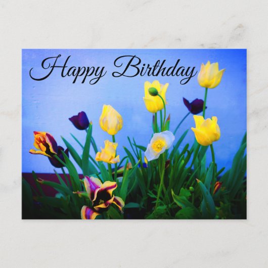 Happy Birthday Varia Tulips #2 Postkarte (Vorderseite)